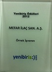 Example Employer Award